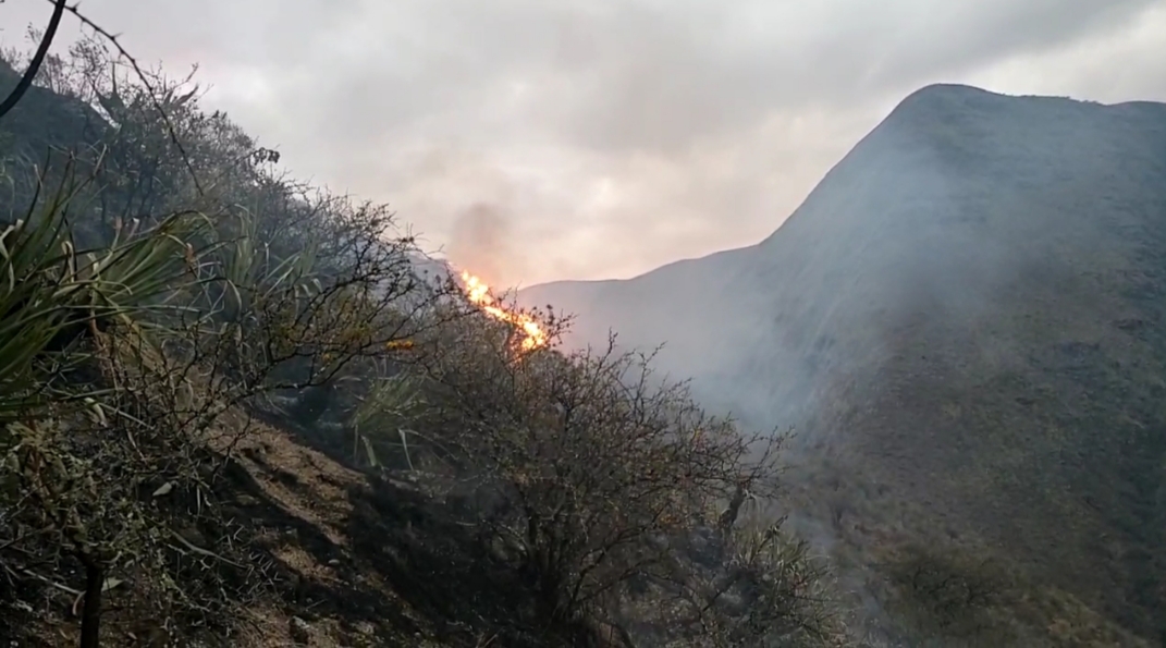 Tarija: incendio en Pajchani afectó más de 300 hectáreas de pastizales