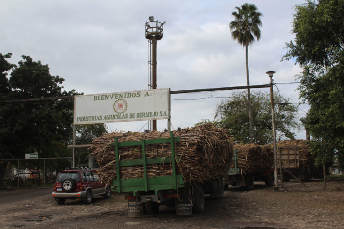 IABSA empezará a recibir caña desde el miércoles para arrancar con la molienda