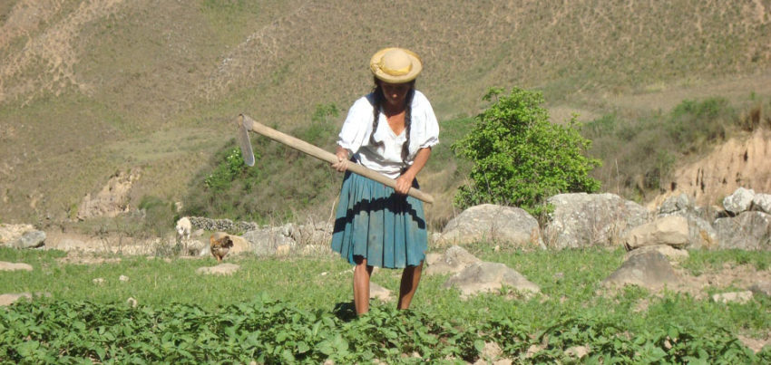 En Tarija, campesinos de Cercado piden volver a beneficiarse del Prosol 2020