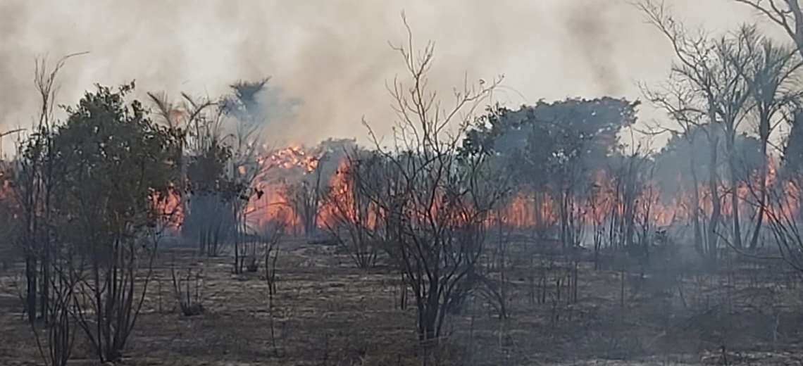 El fuego arrasa con 4.000 hectáreas del Parque Noel Kempff Mercado