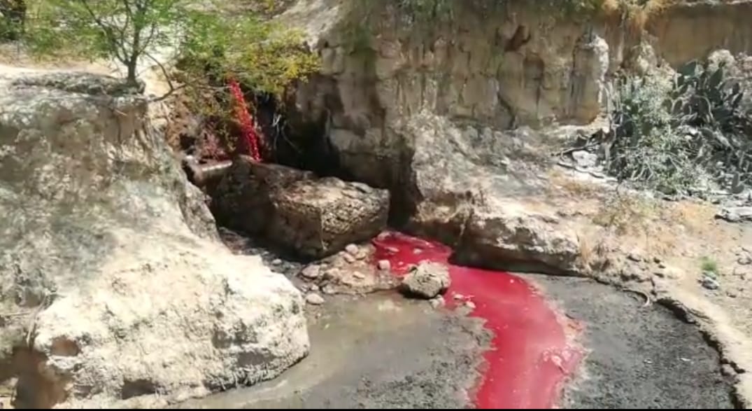 Inician trabajos de recuperación y revegetación de la quebrada circundante al matadero de Tarija