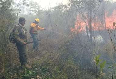 El fuego consume el 26,6% de áreas protegidas en Bolivia