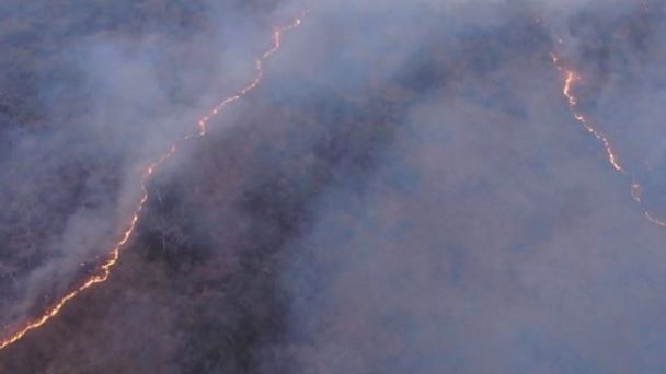 9 sitios, entre parques y áreas protegidas, sufren por el fuego