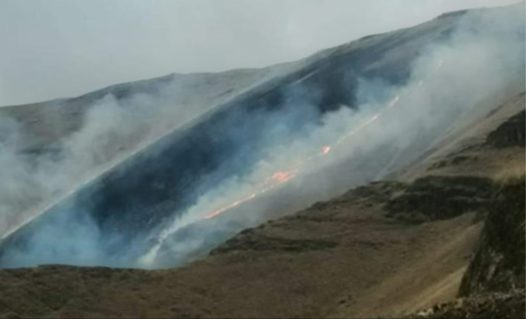 Registran un incendio en la Falda de la Queñua en la cordillera de Sama