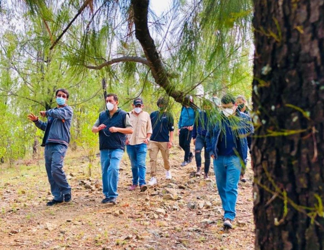 Alcalde Pica propone iniciar construcción de un cordón ecológico en la ciudad de Tarija