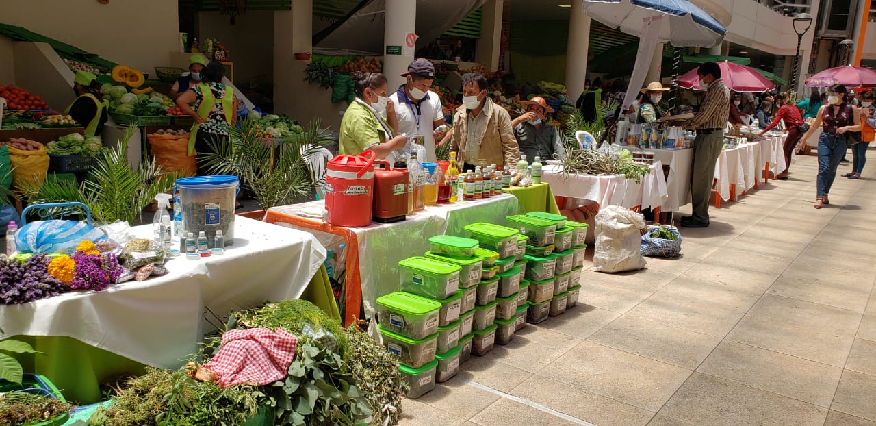 Municipio de Tarija promueve la medicina tradicional como parte de la prevención y contención del rebrote de COVID-19