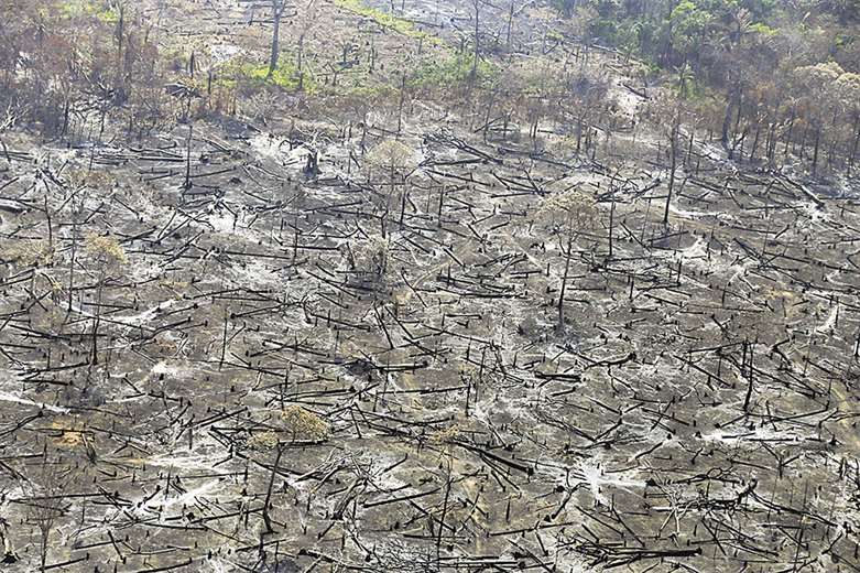 Gobierno firma convenio para anular títulos de tierras y la Cámara Agropecuaria cuestiona el manejo político