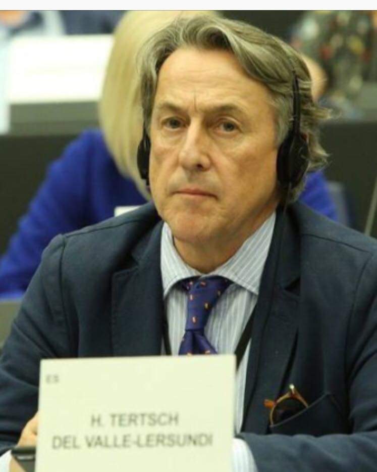 El parlamento de la Unión Europea podría sancionar al presidente Luis Arce