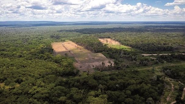 Tráfico de tierras involucra la gestión de 4 ministros y deja al menos 100 procesos