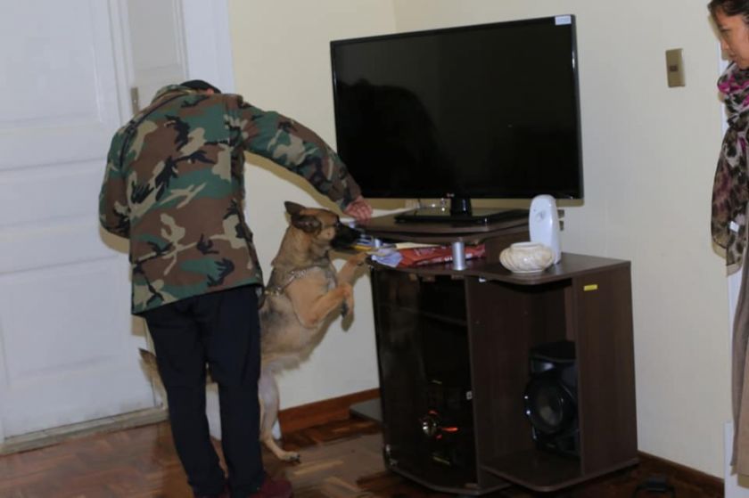 La Felcn inspecciona edificio y vehículos utilizados por exautoridades de la Gobernación de Chuquisaca