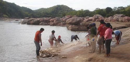 Gobernación de Tarija emite resolución que autoriza la pesca del sábalo en Villa Montes