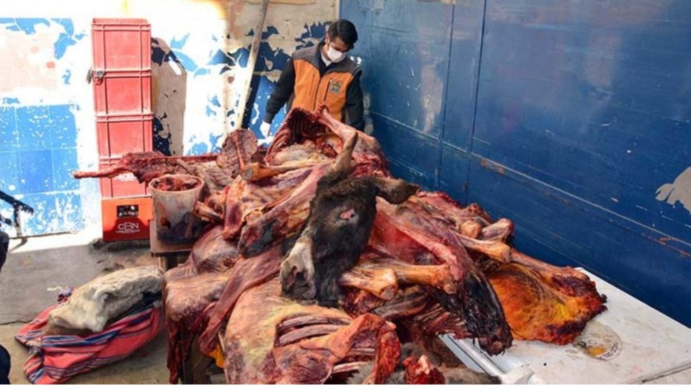 Faenaban burros y caballos para consumo humano en La Paz