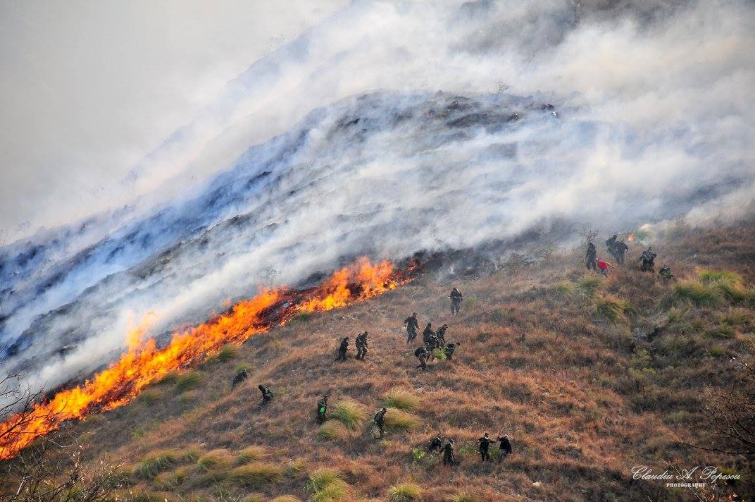 Alcaldía inicia campaña de concientización para evitar grandes incendios forestales en Tarija