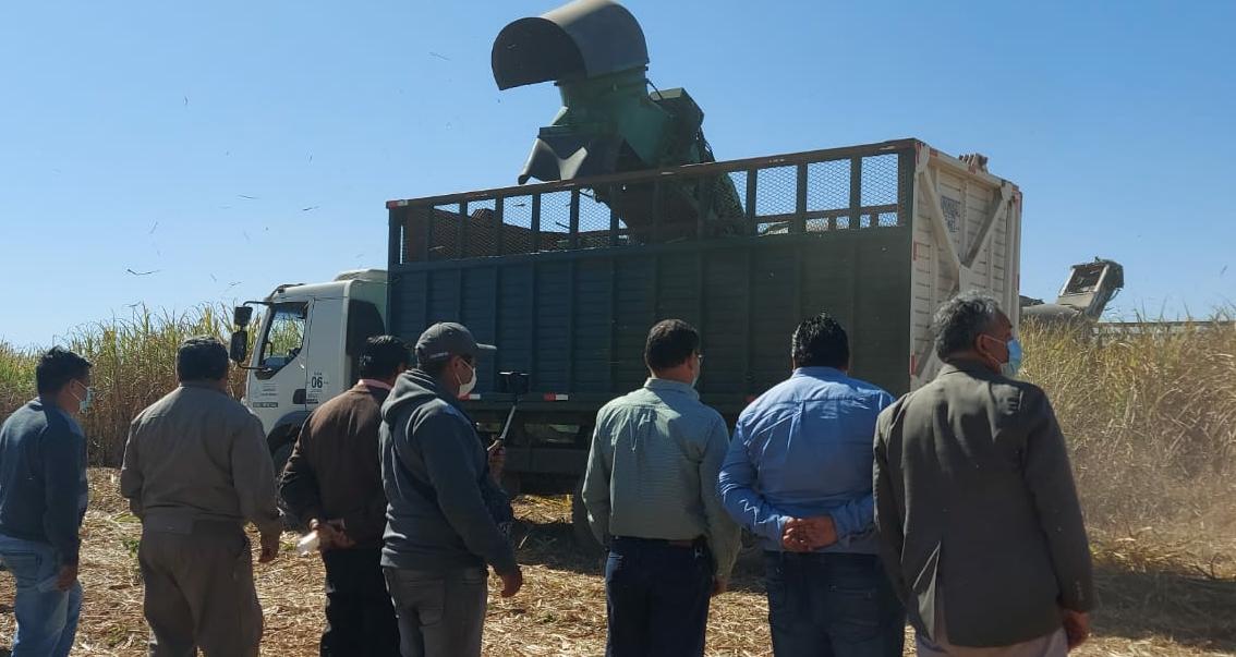 Inicia la zafra en el fundo de la Facultad Integrada de Bermejo