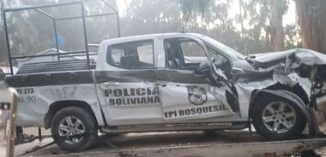 Ebrio burló a policías y en su intento de fuga condujo una patrulla hasta embarrancarse