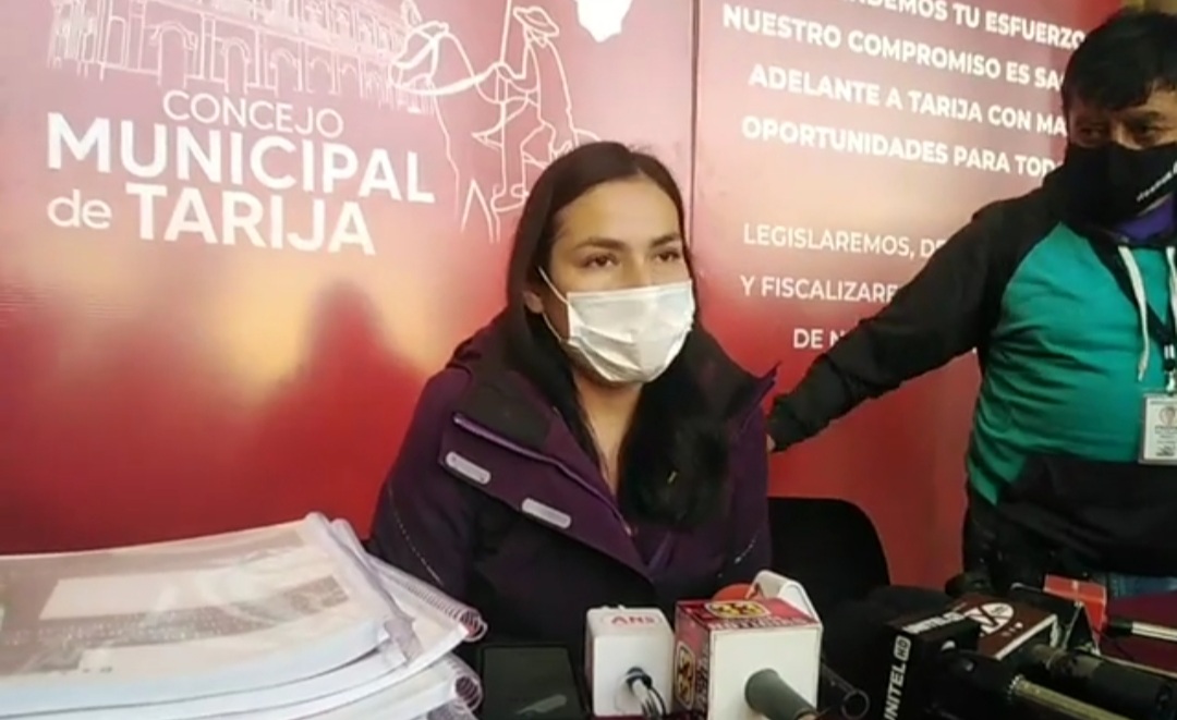 Concejo Municipal de Tarija reactiva el tratamiento de la Carta Orgánica Municipal