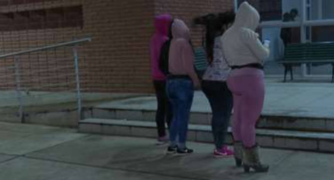 Peluquera, ama de casa y niñera convertidas en damas de compañía por la pandemia