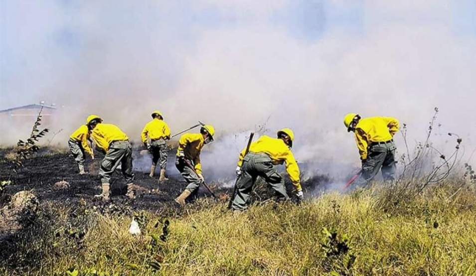 En Santa Cruz los incendios se expanden y alcanzan la categoría de sexta generación