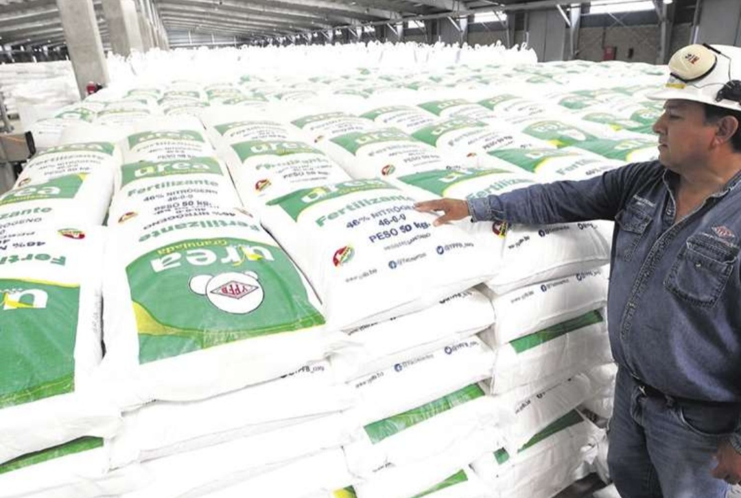 YPFB desplazó a bolivianos de la planta de urea y duplicó contratación de venezolanos