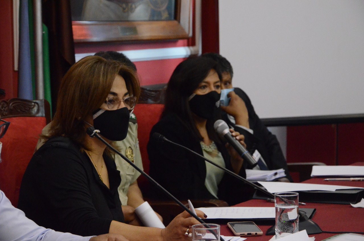 Consejo Departamental de Seguridad Ciudadana de Tarija determina cinco ejes de trabajo