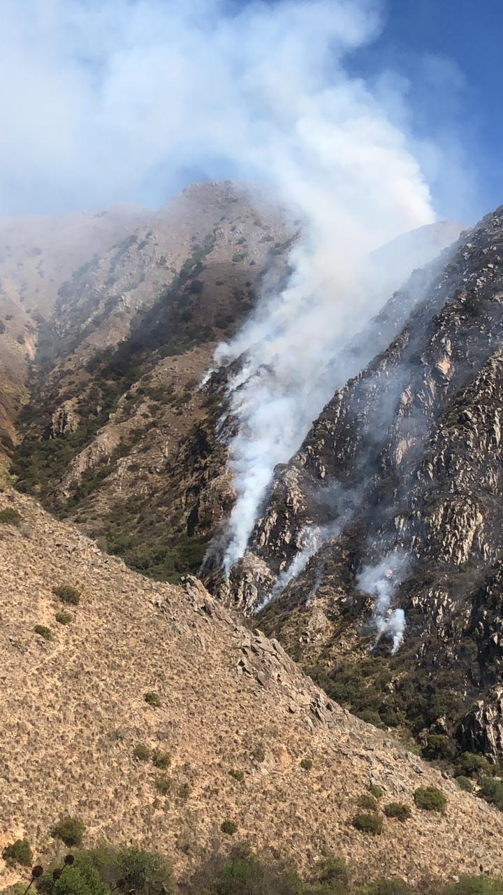 Incendio en el municipio de Padcaya se descontrola producto del viento