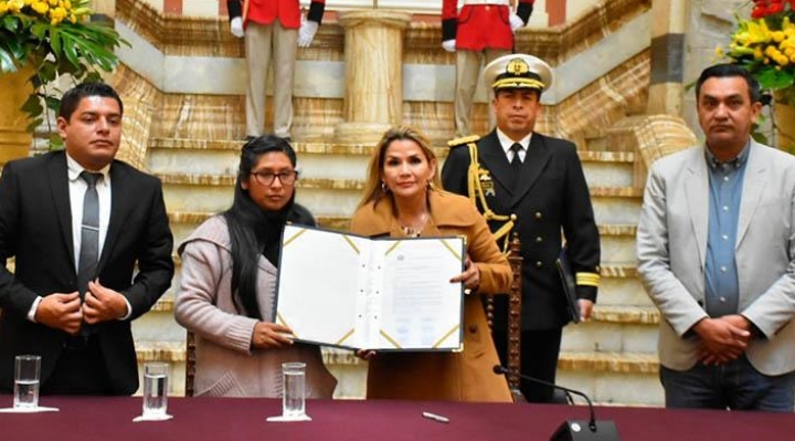 Gobierno desconoce presidencia de Añez pero dice que las normas que aprobó tienen vigencia