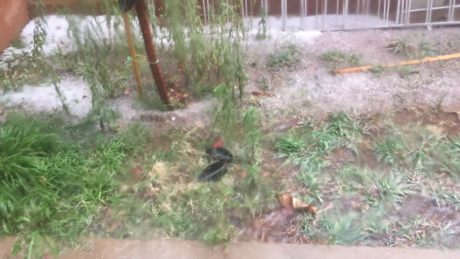 La granizada arrasó con toda la producción en la comunidad de Obrajes en Tarija