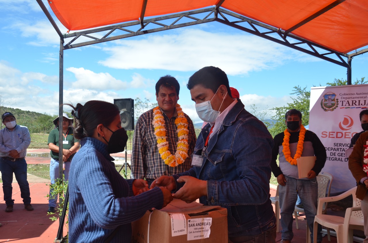 Gobernación de Tarija y Cooperación Alemana entregaron plantas de frutilla a productores de Yesera