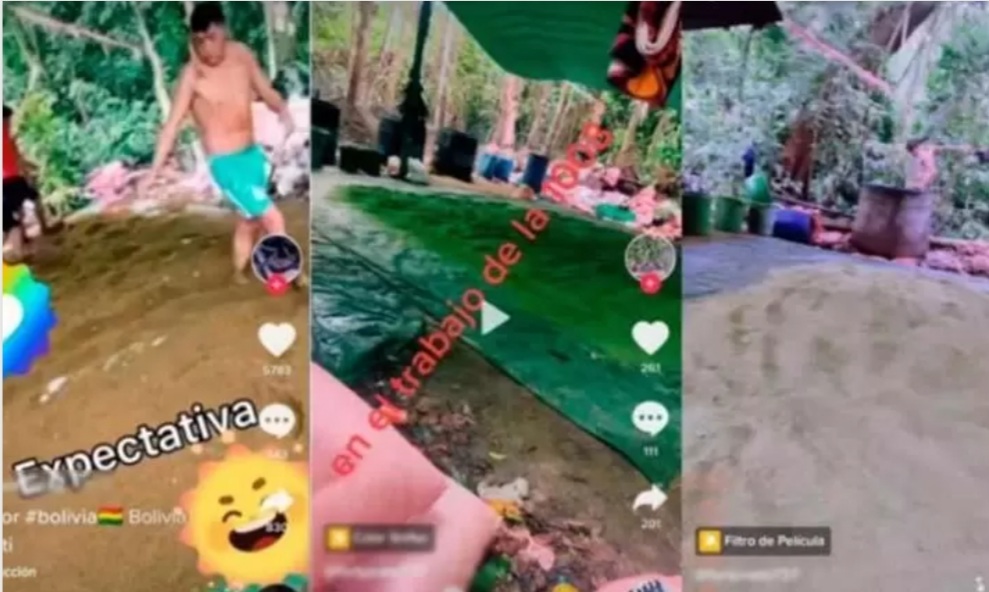 Gobierno anuncia investigación sobre los videos de “pisacocas” en TikTok