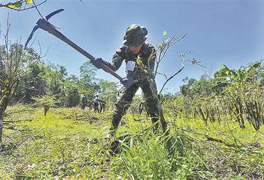 El JIFE reporta incremento “sin precedentes” de cocaína de Bolivia y Perú en Europa