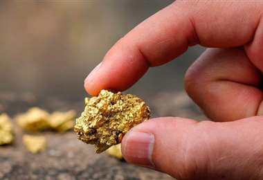 Ministerio de Minería acusó a exfiscales de favorecer a extranjero que fugó con 331 kilos de oro