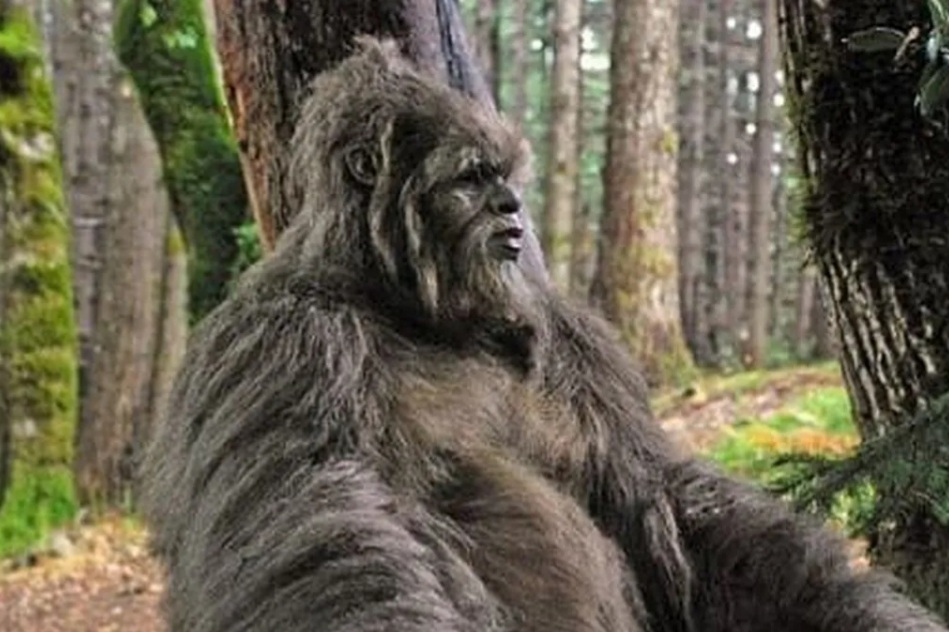 Afirman haber visto un Ucumar: mezcla de gorila, oso y humano