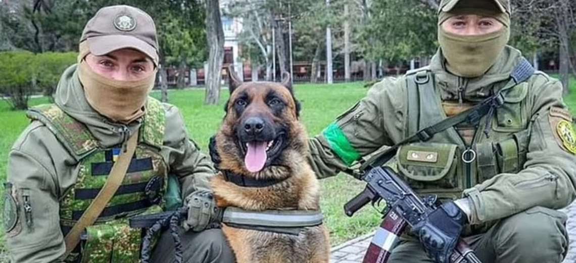 Perro de las tropas rusas cambia de bando y ahora defiende a Ucrania
