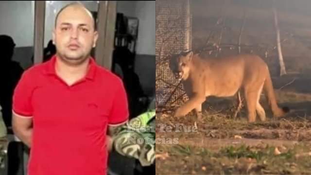 La ostentosa vida de Nallar: 3 pumas, 37 vehículos, una estancia y sicarios