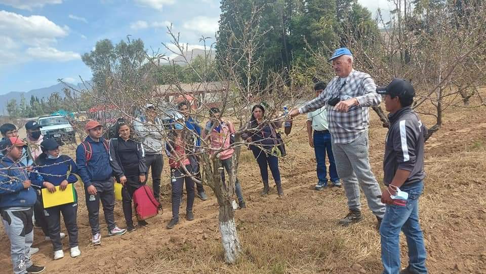Gobernación de Tarija brinda cursos sobre poda de plantas frutales