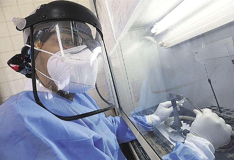 Las subvariantes más contagiosas y preocupantes de ómicron ya circulan en Bolivia