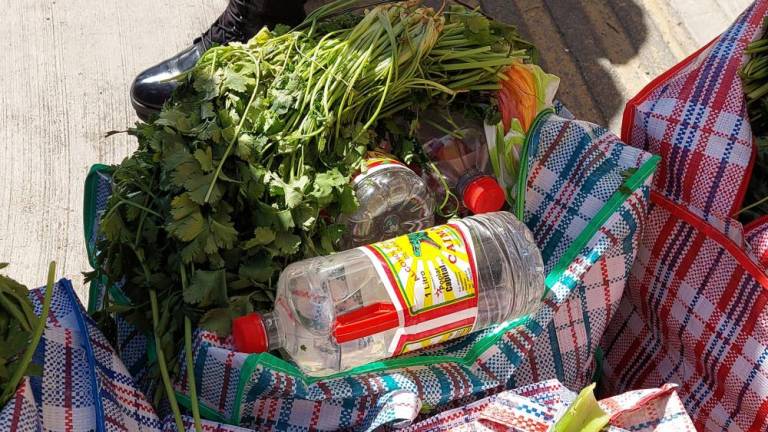 Visitantes intentaron ingresar a San Pedro 164 botellas de alcohol en bolsas de verdura