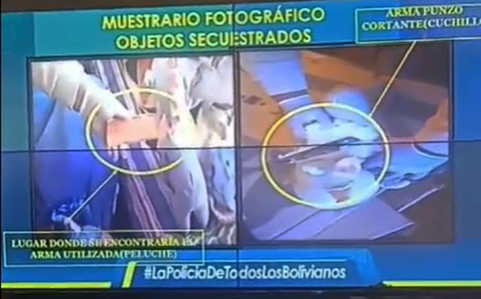 Una adolescente es acusada de planificar el asesinato de su madre; el autor material sería su enamorado