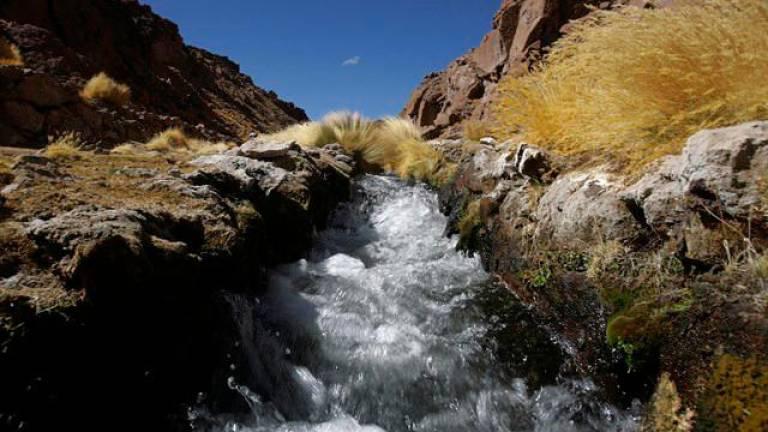 Anuncian juicio de responsabilidades contra Evo si el fallo por las aguas del Silala es adverso
