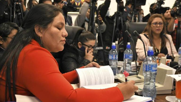 Diputada Deisy Choque: “En el MAS no hay ruptura, hay un expresidente que amenaza y chantajea”