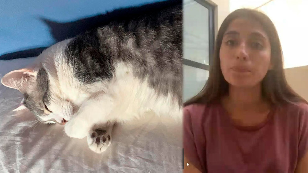 Andre Iturre sobre su gato Tito. “Volví desde Irlanda para estar con él y llevármelo… pero me lo perdieron”