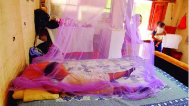 Hay 15 personas fallecidas por dengue, los niños son los más afectados por la enfermedad
