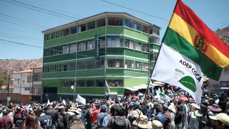 Yungas madura su frente político y anuncian “un voto castigo al MAS”