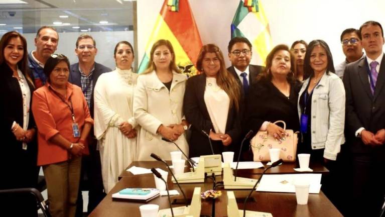 Presidenta de Comisión de DDHH anuncia supresión del “artículo mordaza”