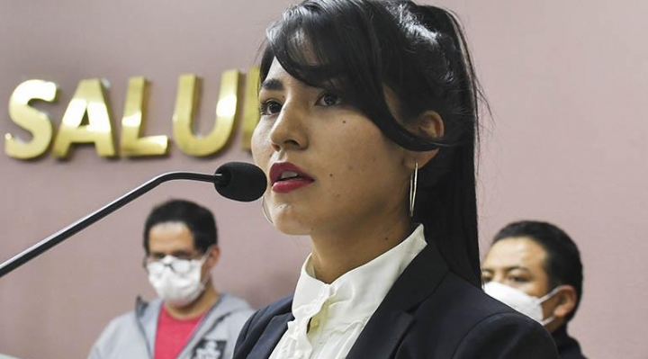 Veizaga culpa a Evo por su renuncia: “desde el primer día Evo Morales busca mi destitución”