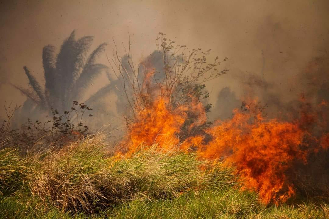 Más voces exigen a Luis Arce abrogar las leyes incendiarias de Evo Morales y pida ayuda internacional