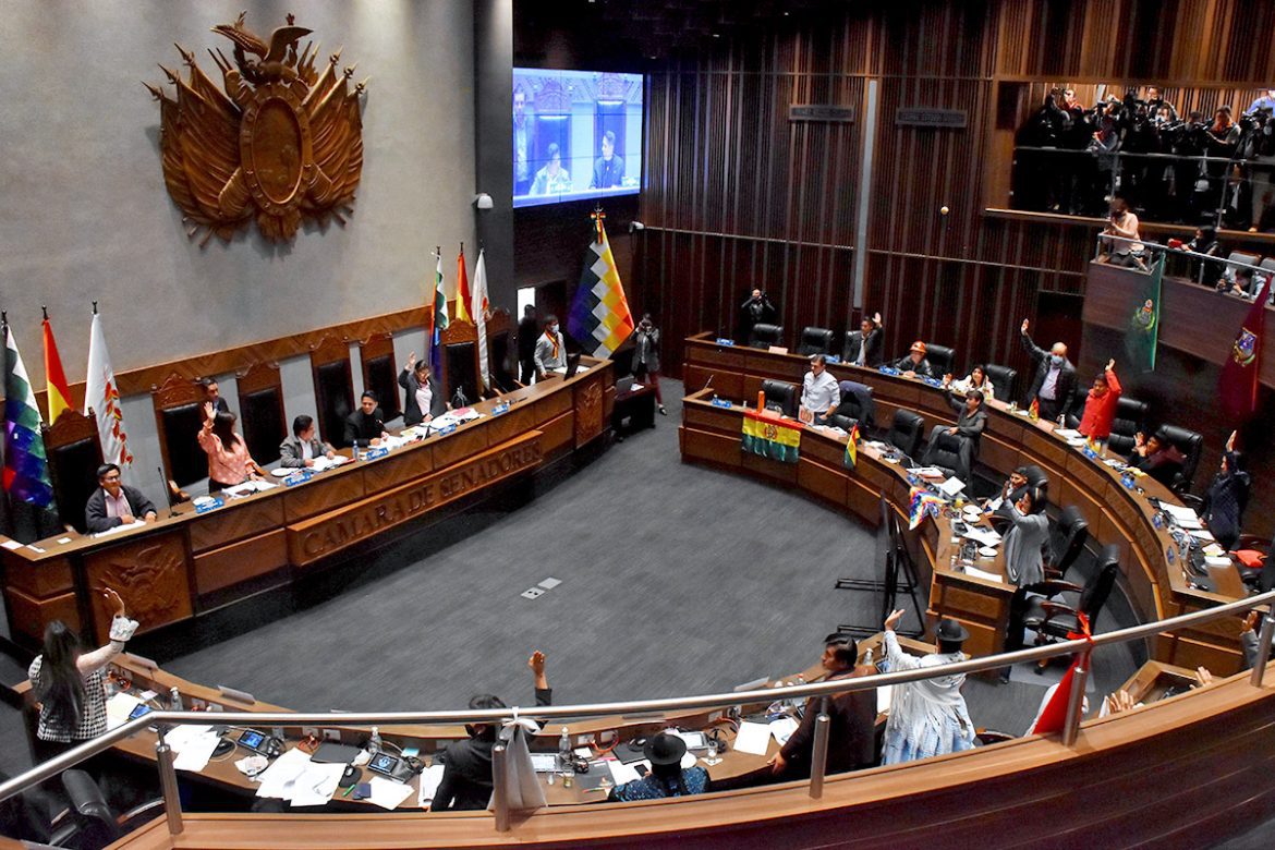 Senadora afirma que sesión convocada por Andrónico es nula por derecho y vulnera la Constitución
