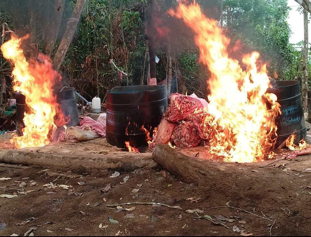 La fuerza antidroga destruye 15 laboratorios de cocaína en el Chapare y aprehende a dos personas