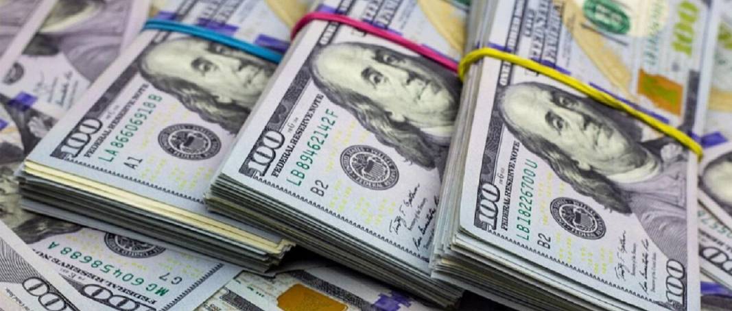 Dólares: Alertan que el trigo es el primer producto que se encarecerá y que hay riesgo de devaluación del poder adquisitivo del salario