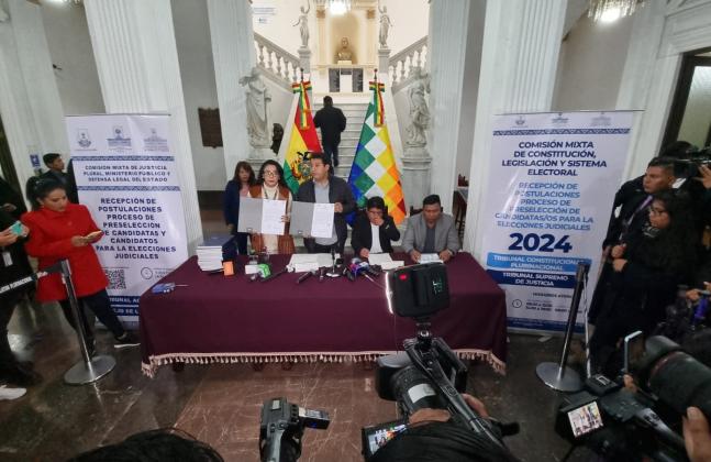 Elecciones judiciales: Sala Constitucional de Pando anula preselección de candidatos y ordena nueva convocatoria